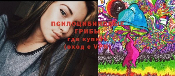 МДПВ Осинники