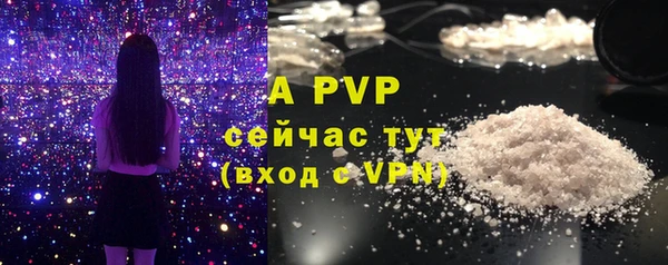 гидра Аша