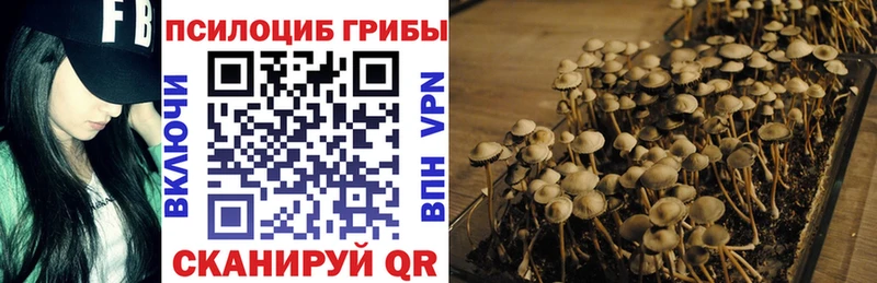 hydra как войти Сертолово Галлюциногенные грибы GOLDEN TEACHER